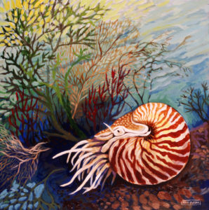 Nautilus, Acrylic on Canvas